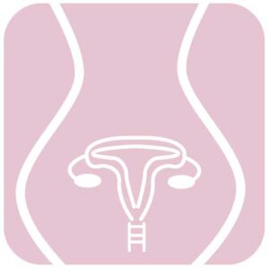 Ilustración de útero en color rosa