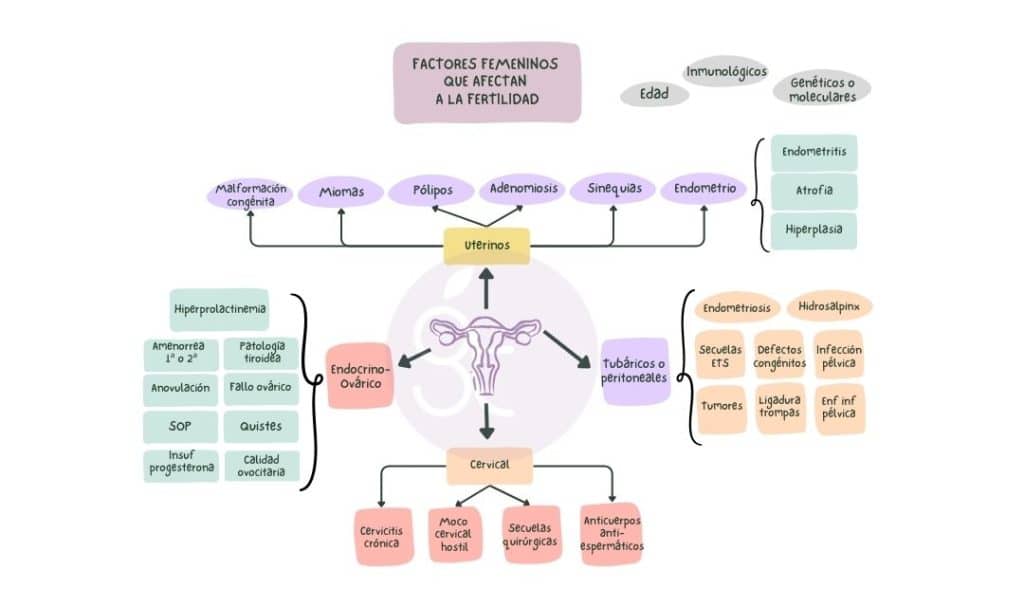 Gráfico con factores que afectan la fertilidad