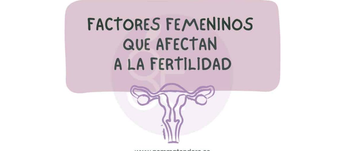 Cartel con texto “Factores femeninos que afectan a la fertilidad”