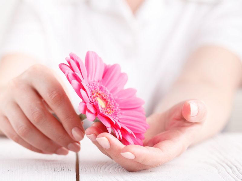 Flor rosa sobre fondo blanco (sin texto)